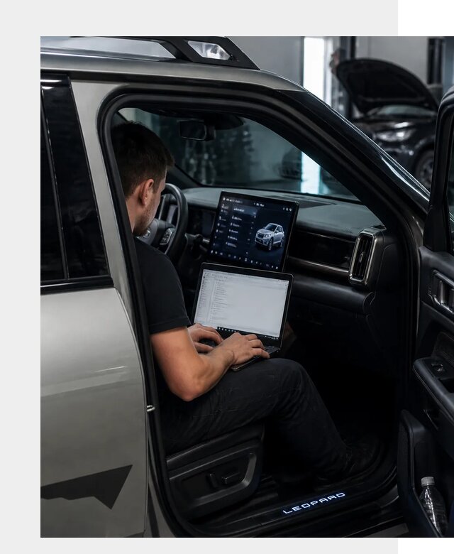 Русификация BYD Leopard 3 в Коврове по цене от 20362 р. | ФастМобиль-Квр